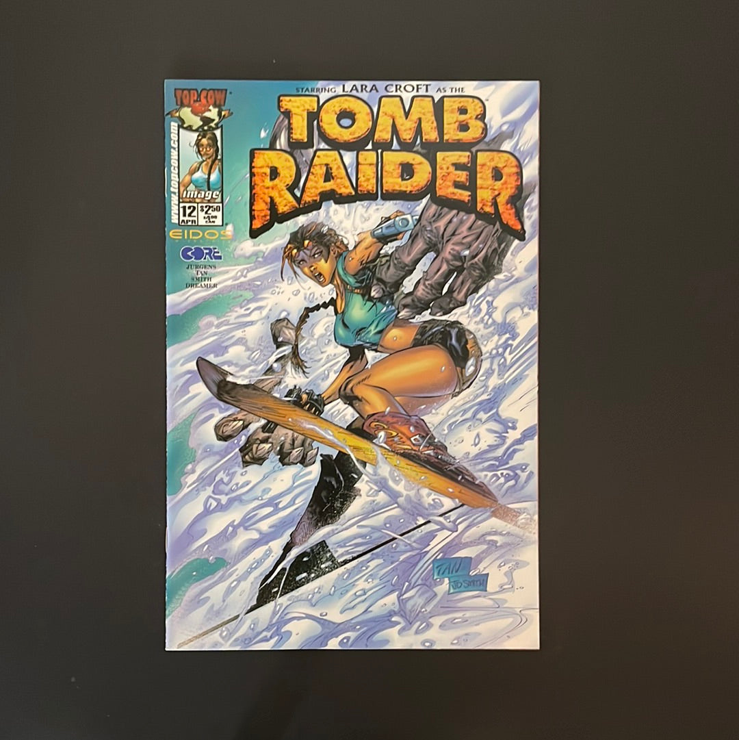 Tomb Raider #12