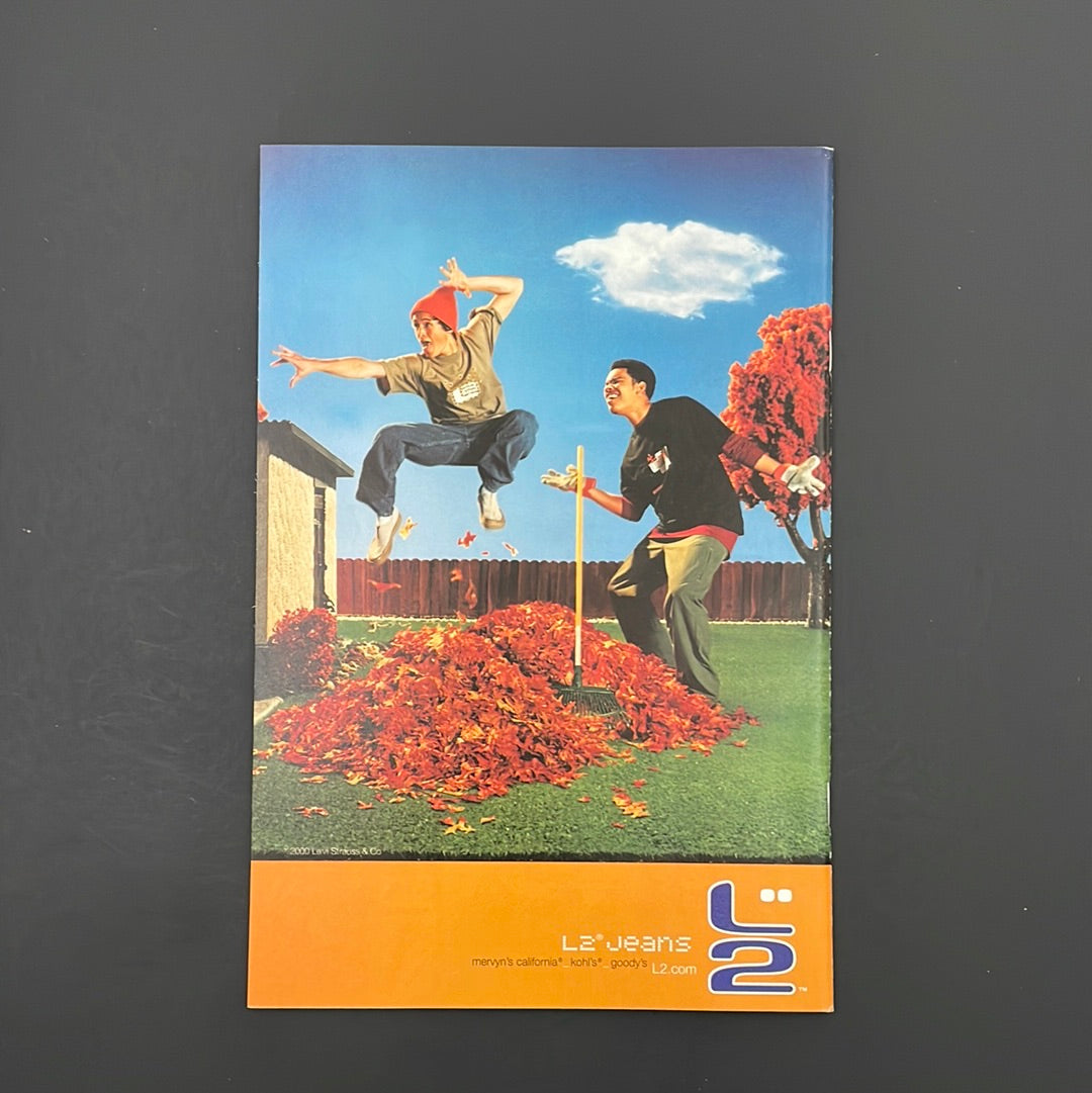 Iron Man: Annual 2000