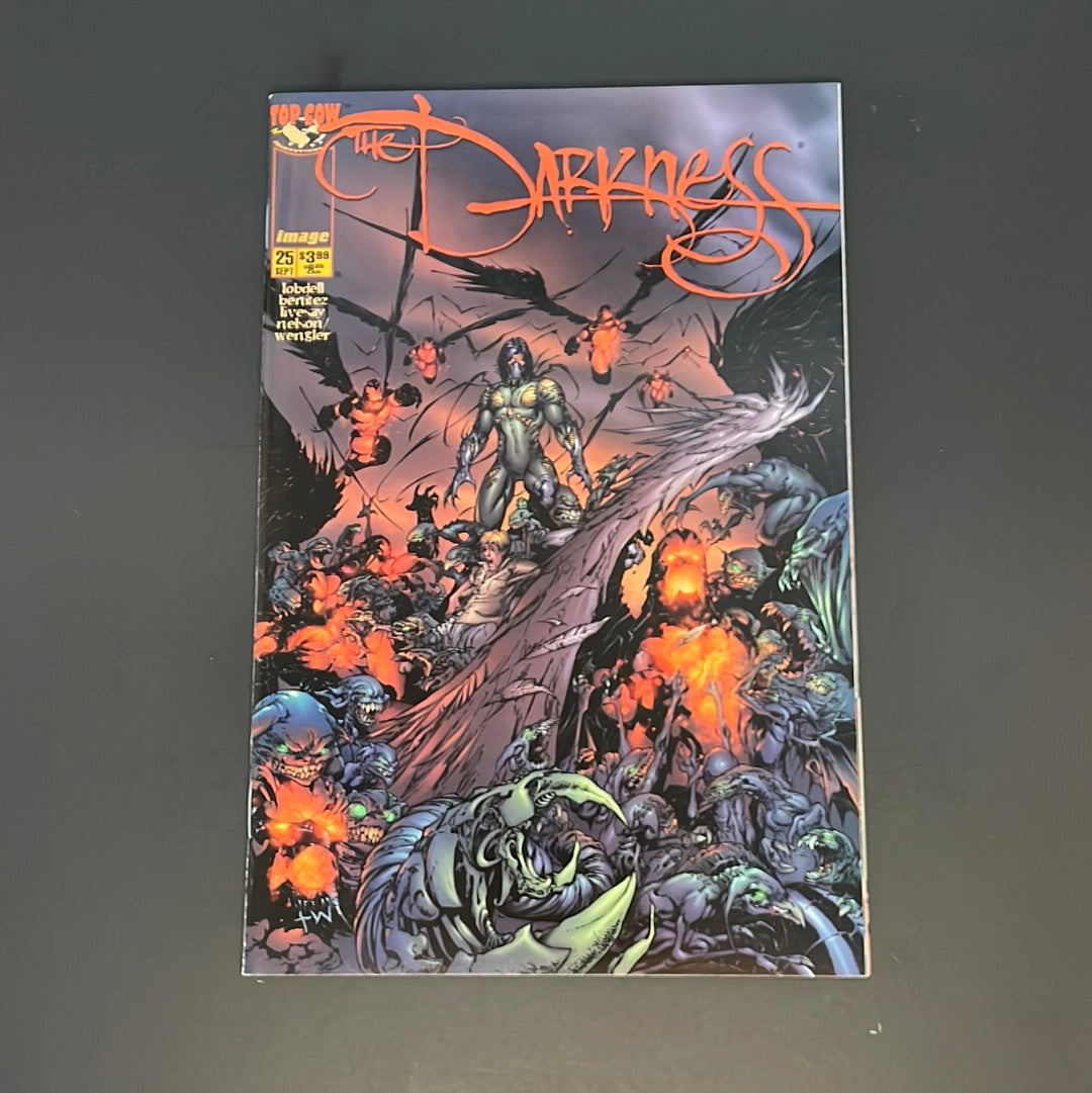 The Darkness #25