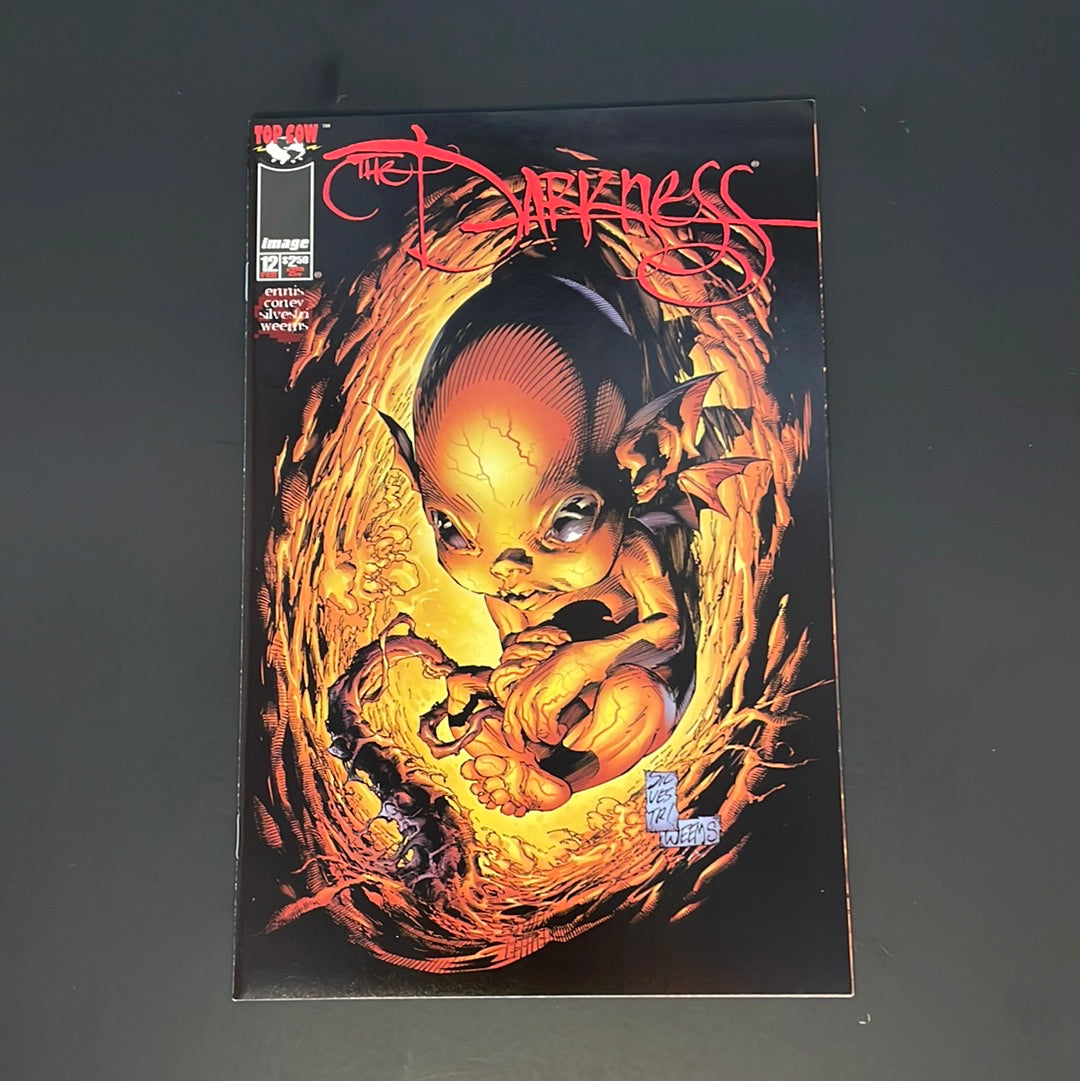 The Darkness #12