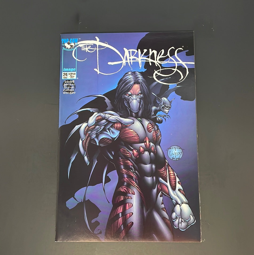 The Darkness #24
