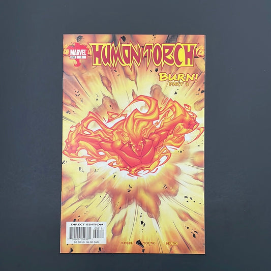 Human Torch #3