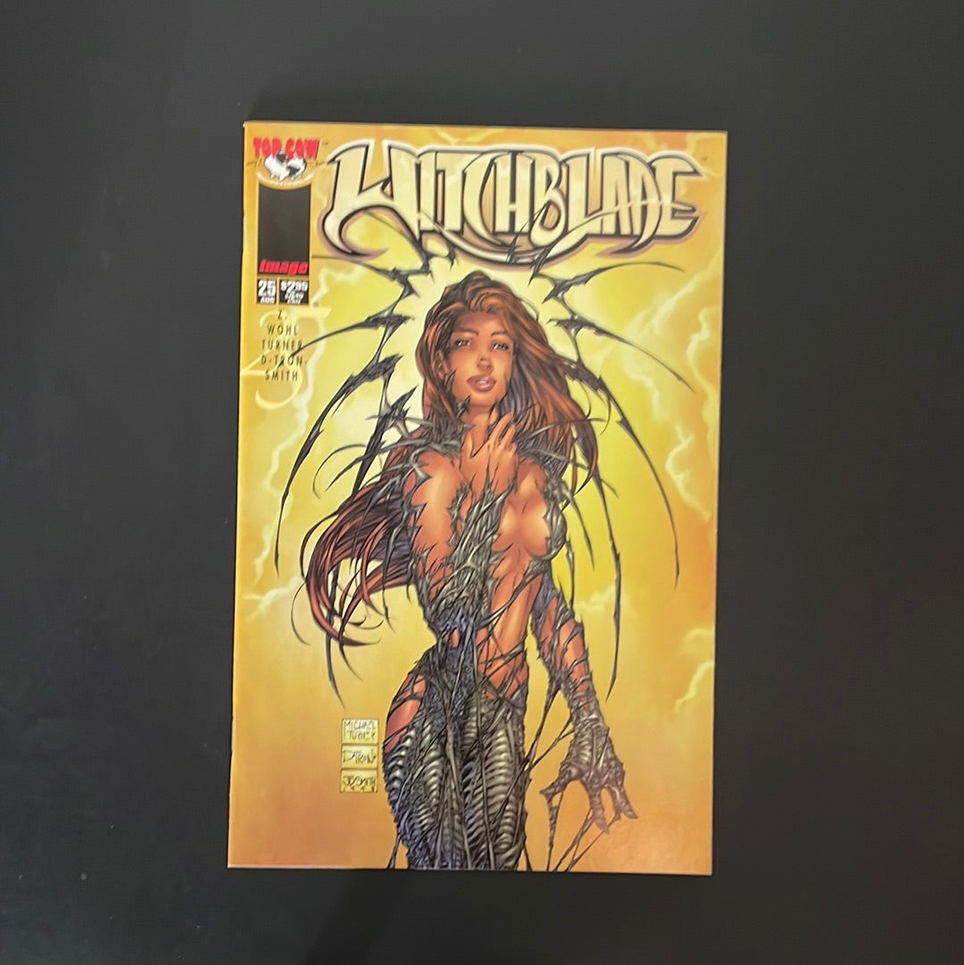 Witchblade #25