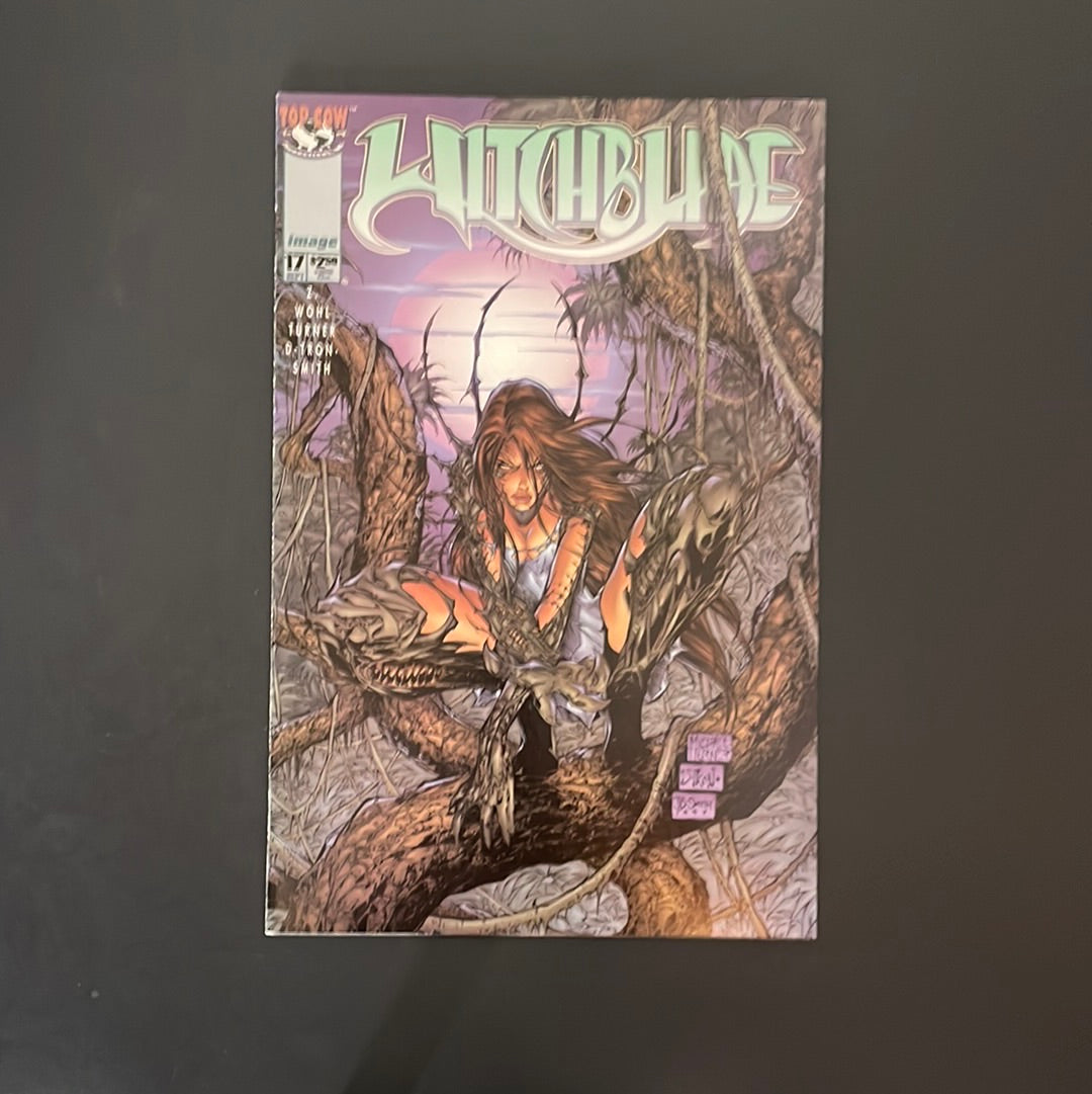 Witchblade #17