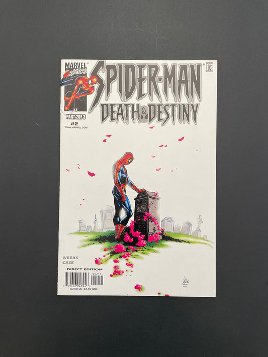 Spider-Man Death and Destiny #2